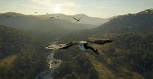 theHunter: Call of the Wild - Emerald Coast Australia - Windows 10