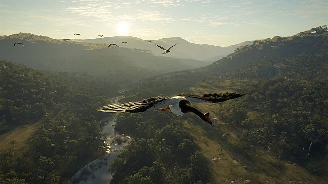 theHunter: Call of the Wild - Emerald Coast Australia - Windows 10