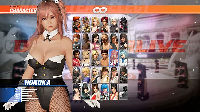 [Revival] DOA6 Sexy Bunny Costume - Honoka