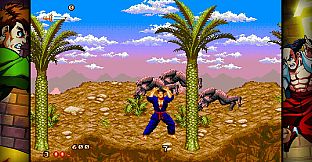 Beat 'Em Up Collection (QUByte Classics)