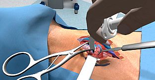 Surgera VR