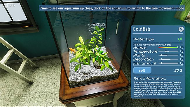 Aquarist - My First Job