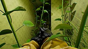 Backrooms The Levels