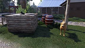 Lumberjack's Dynasty