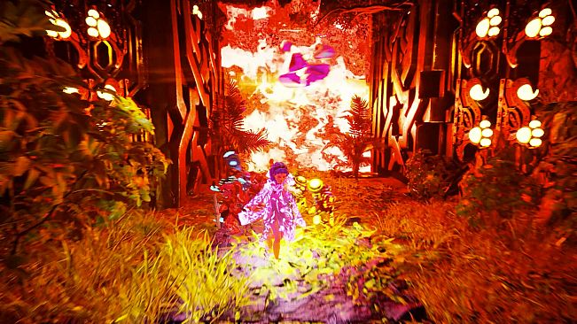 LION The Last Homeland