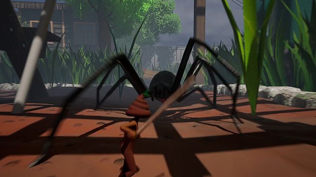 Mr Dookie Adventures