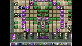 Pixie Panic Garden