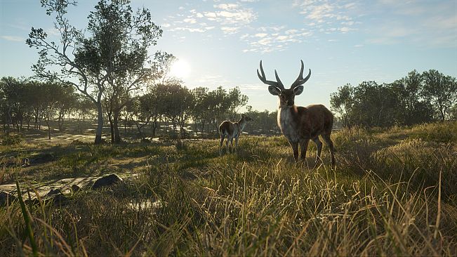 theHunter: Call of the Wild - Emerald Coast Australia