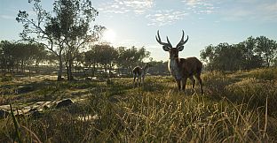 theHunter: Call of the Wild - Emerald Coast Australia - Windows 10