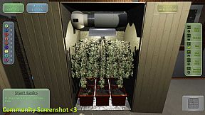 Medicinal Herbs - Cannabis Grow Simulator