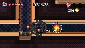 Ammo Pigs: Armed and Delicious