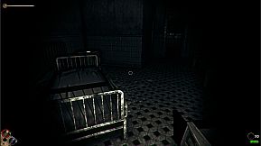 Horror in the Asylum