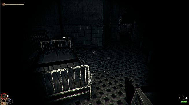 Horror in the Asylum