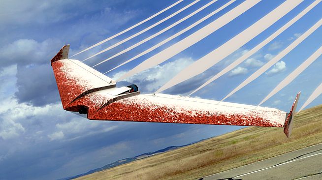 RealFlight Evolution – Zipper