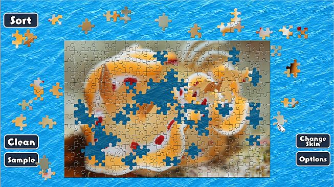 Jigsaw Masterpieces : Sea Slugs - Gems of the Sea -