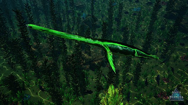 Beasts of Bermuda - Elasmosaurus Supporter Warpaint