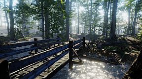 The House in the Forest