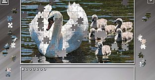 Super Jigsaw Puzzle: Generations - Random Animals 2