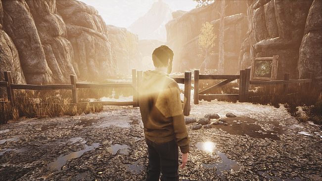 The Dead Tree of Ranchiuna