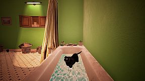 Cat Simulator - Kitty Conundrums