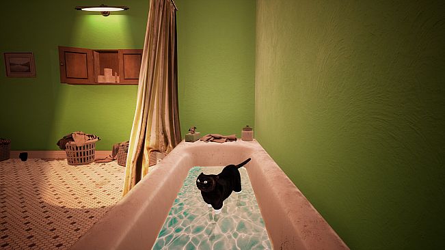 Cat Simulator - Kitty Conundrums