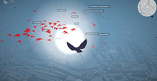 Pigeon: A Love Story