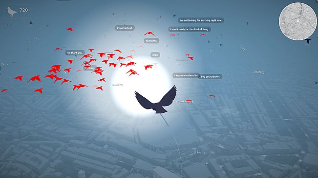 Pigeon: A Love Story