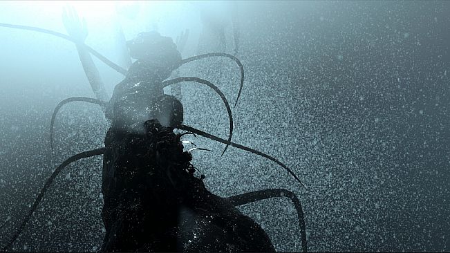 The Shimoda Rift