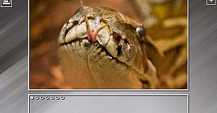 Super Jigsaw Puzzle: Generations - Snakes Puzzles