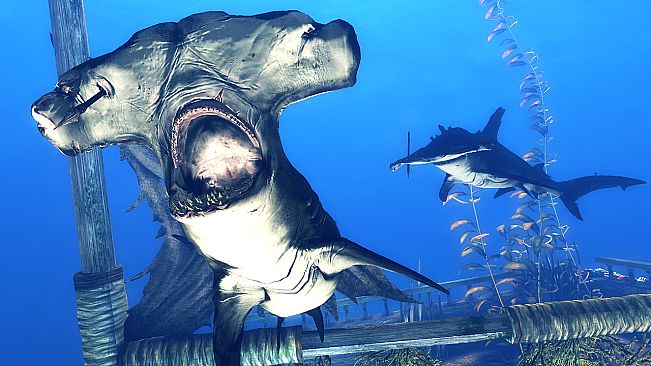 Depth - Legendary Hammerhead Skin