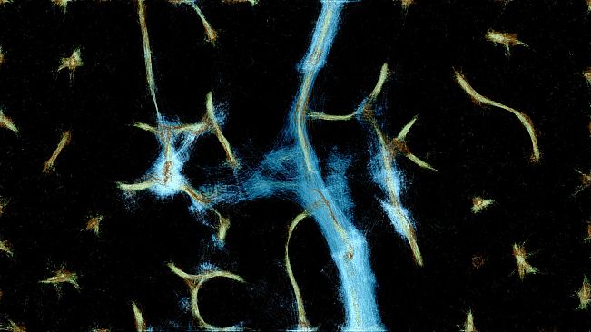 PHYSARUM: Slime Mold Simulator