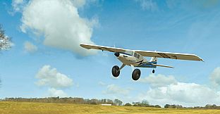 RealFlight Evolution - E-flite UMX Turbo Timber Evolution