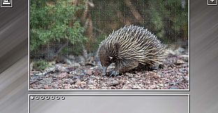 Super Jigsaw Puzzle: Generations - Random Animals Puzzles