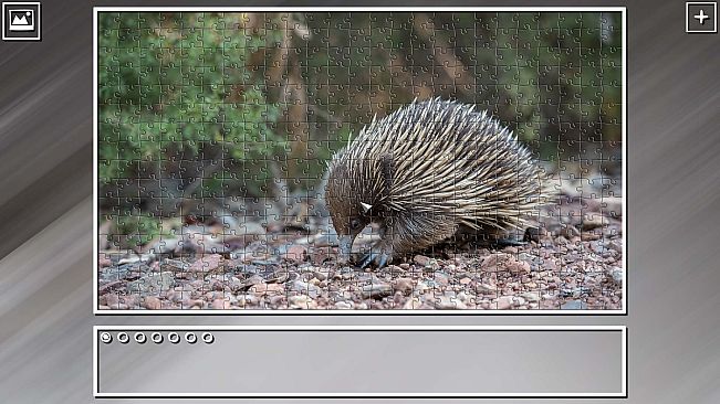 Super Jigsaw Puzzle: Generations - Random Animals Puzzles