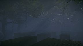 Maurice: In The Predator's Nest