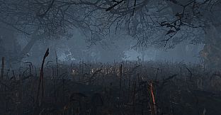 maze to the old castle