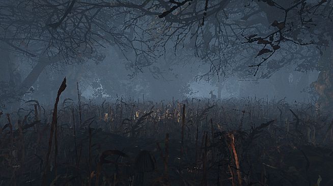 maze to the old castle