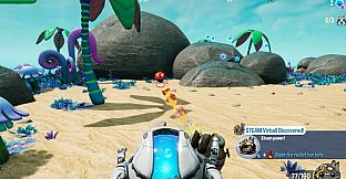 Virballs