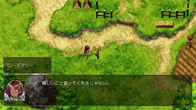 RPG Maker Unite Default Character Facial Expression Assets3