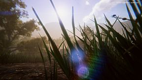 Resilience Wave Survival