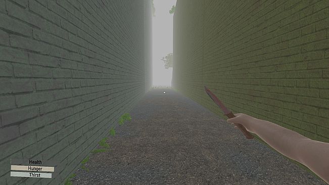 Phantom Town