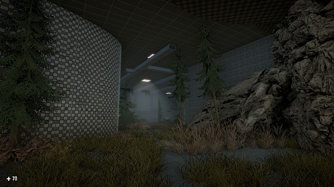 SURVIVAL IN THE BACKROOMS