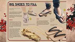 Scrolls of Sengoku Dynasty