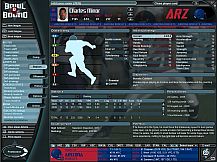 Bowl Bound College Football