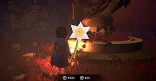 Narin: The Orange Room