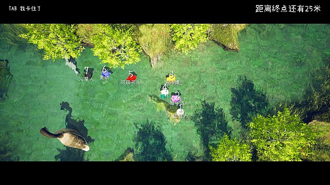 漂流瓶盖 Drifting Bottle Cap