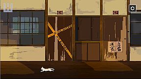 I Am a Dorm Resident (but Cat)