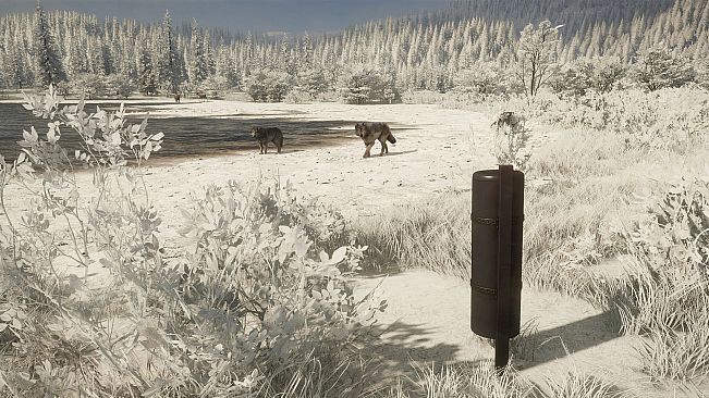 theHunter: Call of the Wild - Game Feeder Pack 2