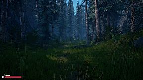 The Hermit Chronicles