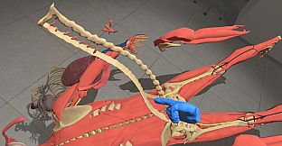 Human Constructor VR